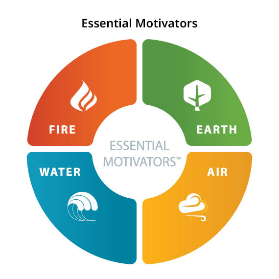 Essential Motivators Model