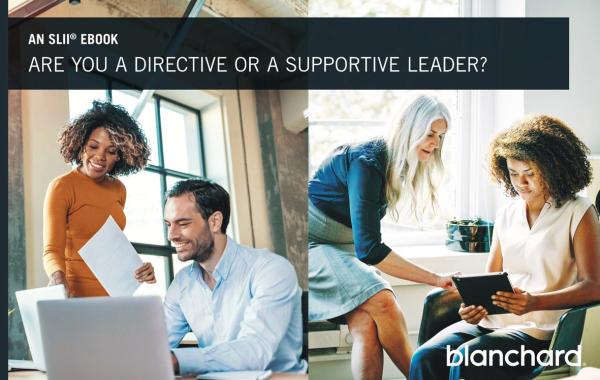 image of Are You a Directive or Supportive Leader?