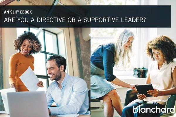 image of Are You a Directive or Supportive Leader?